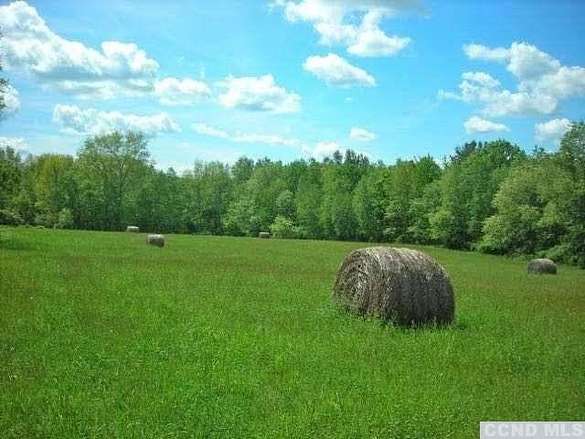 31.6 Acres of Agricultural Land for Sale in Millerton, New York