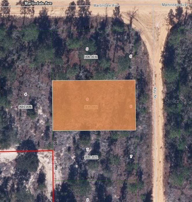 0.21 Acres of Residential Land for Sale in Interlachen, Florida