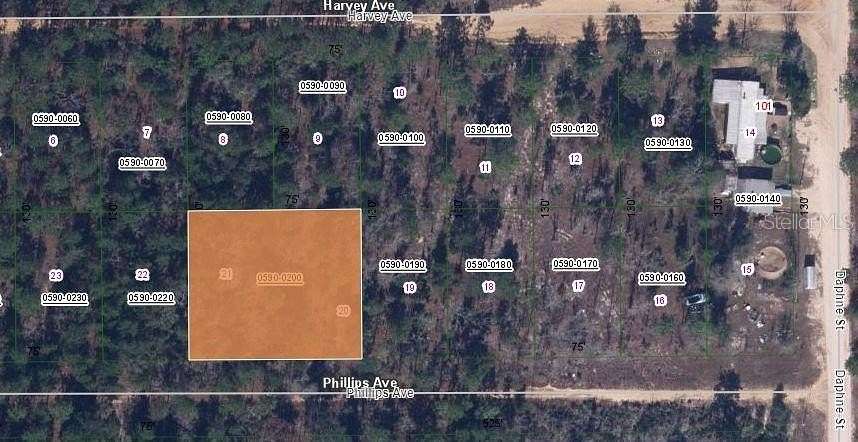 0.45 Acres of Residential Land for Sale in Interlachen, Florida