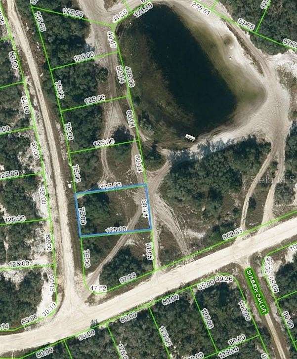 0.22 Acres of Residential Land for Sale in Lake Placid, Florida