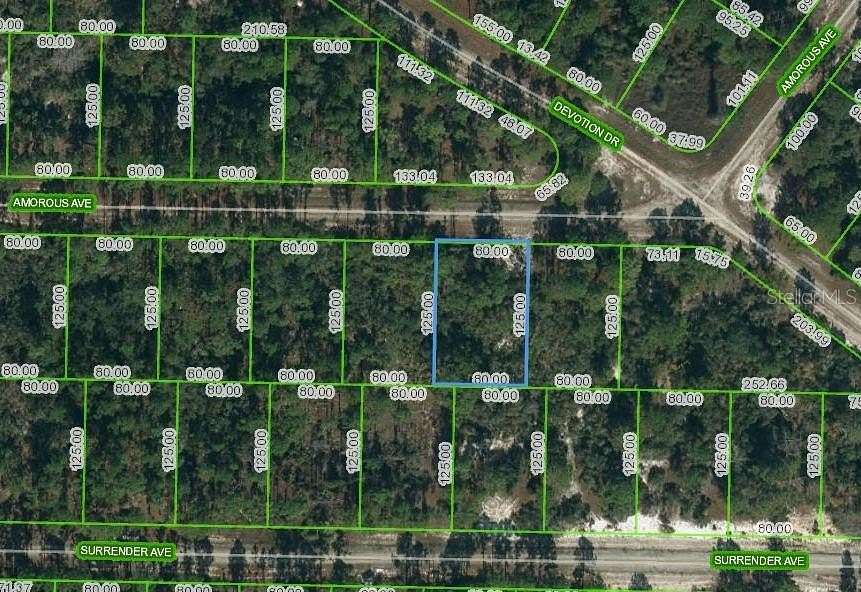0.23 Acres of Residential Land for Sale in Lake Placid, Florida
