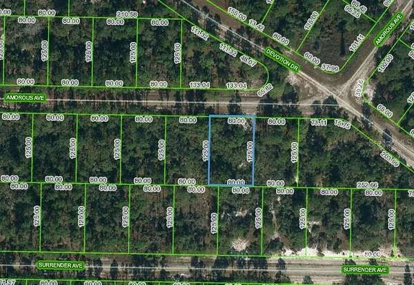 0.23 Acres of Residential Land for Sale in Lake Placid, Florida