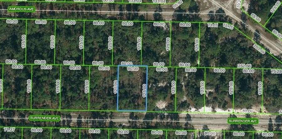 0.23 Acres of Residential Land for Sale in Lake Placid, Florida