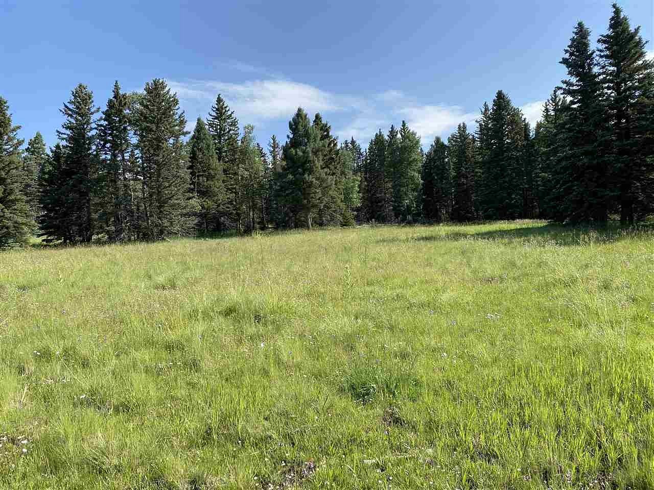 2.1 Acres of Residential Land for Sale in Angel Fire, New Mexico