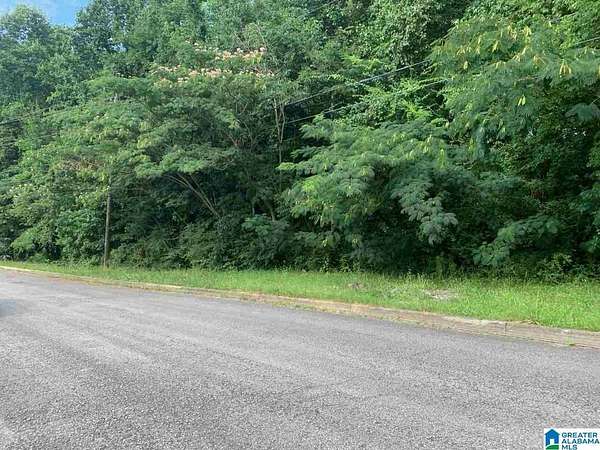 0.38 Acres of Residential Land for Sale in Birmingham, Alabama