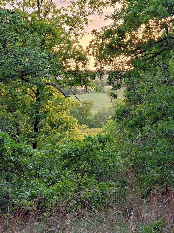 21.45 Acres of Recreational Land & Farm for Sale in Bowie, Texas