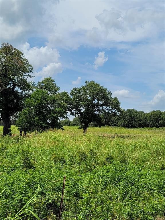 21.5 Acres of Land for Sale in Bowie, Texas