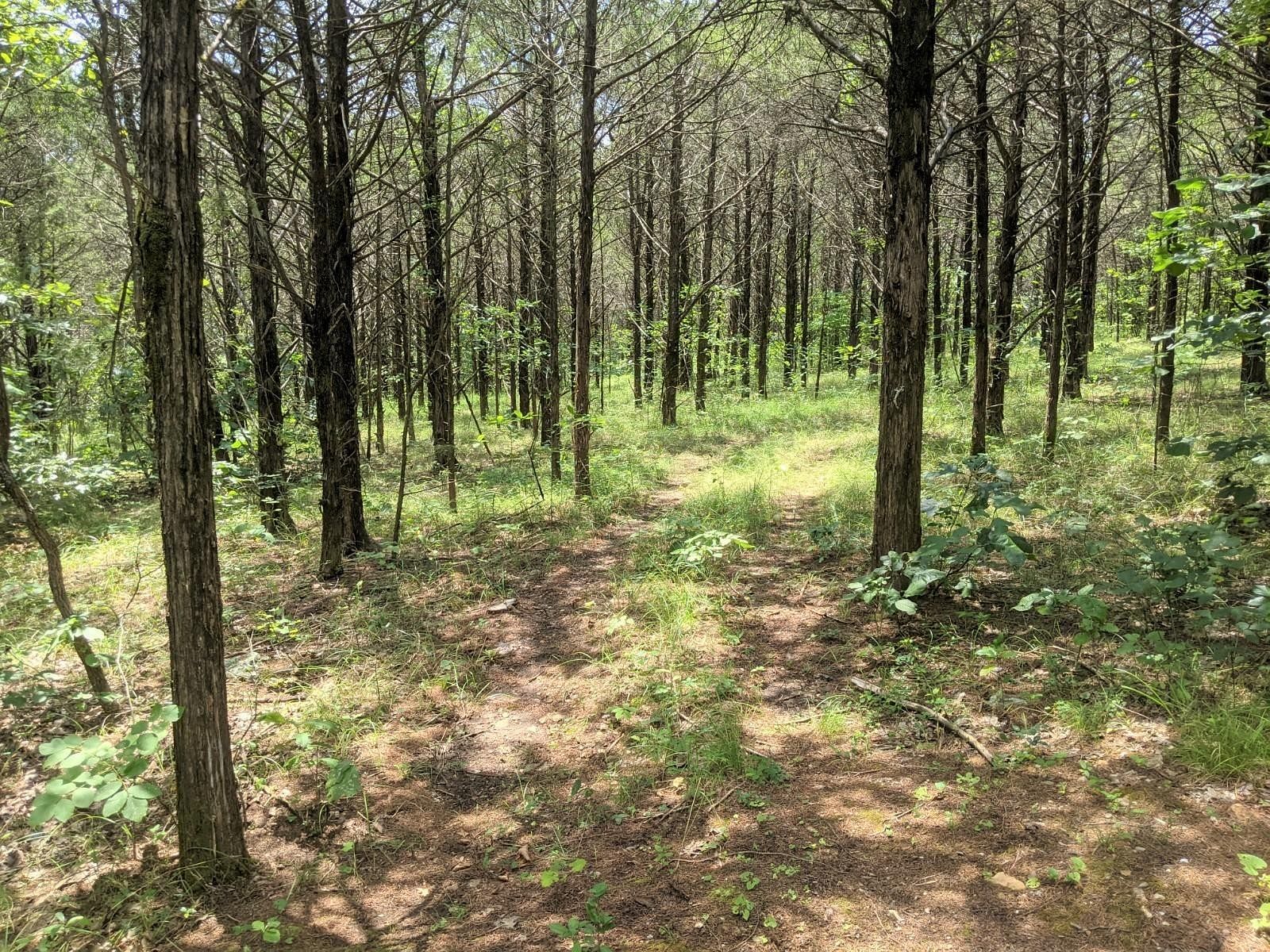 1 Acre of Residential Land for Sale in Shell Knob, Missouri