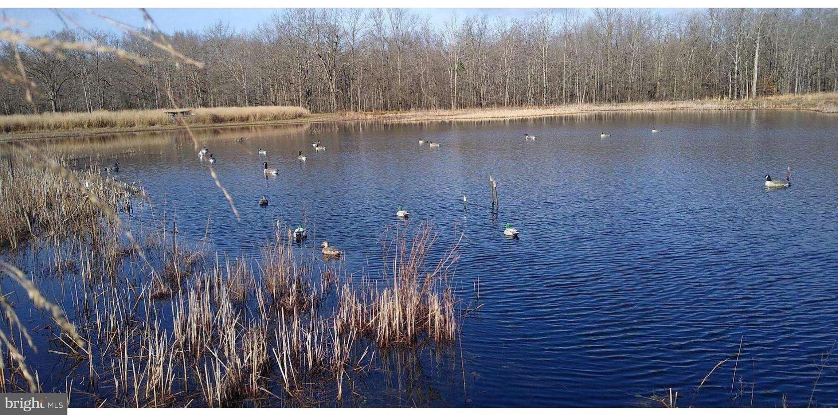 106 Acres of Land with Home for Sale in Golts, Maryland