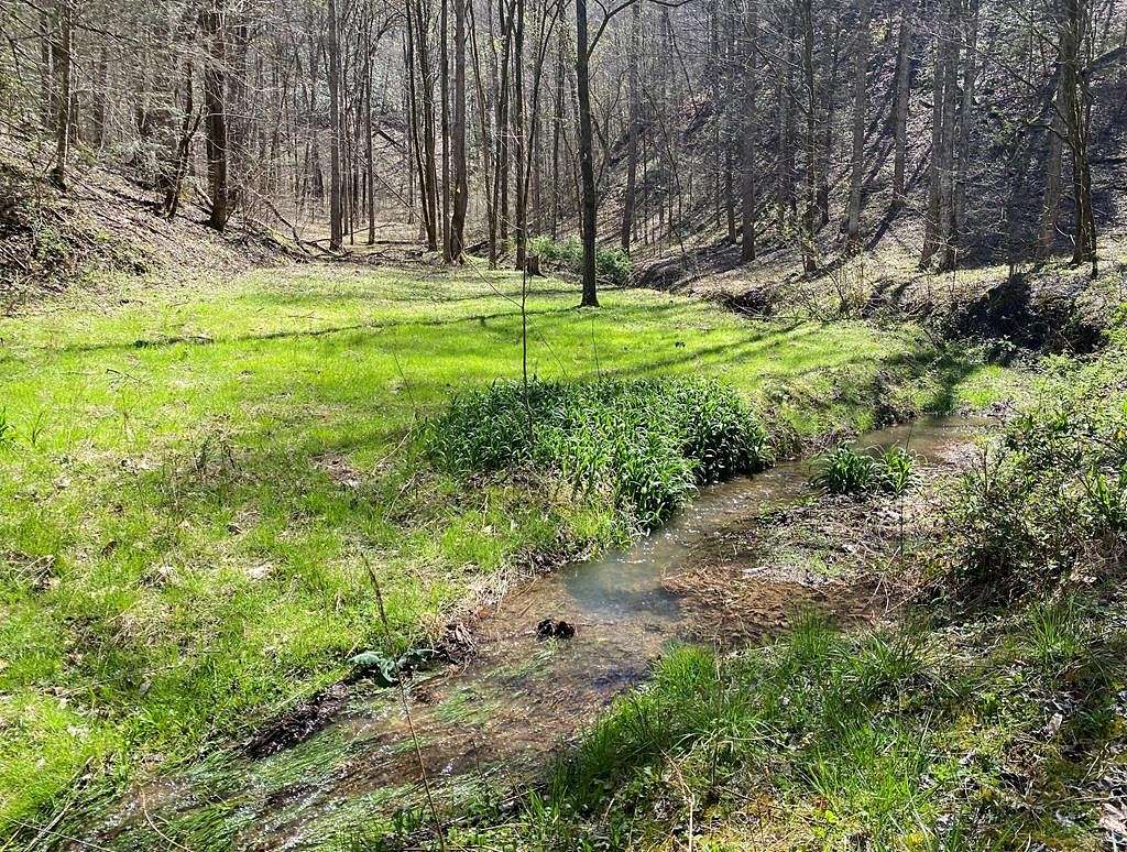 68.5 Acres of Recreational Land for Sale in Sevierville, Tennessee