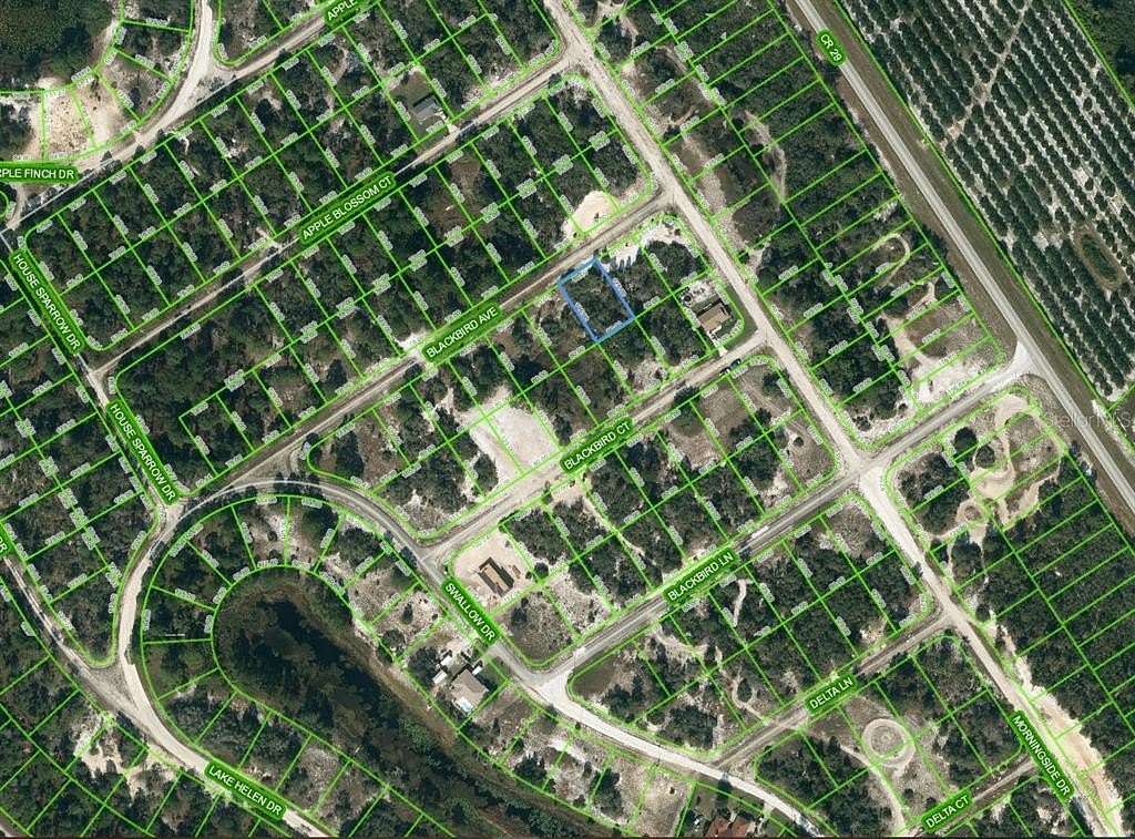 0.23 Acres of Residential Land for Sale in Lake Placid, Florida
