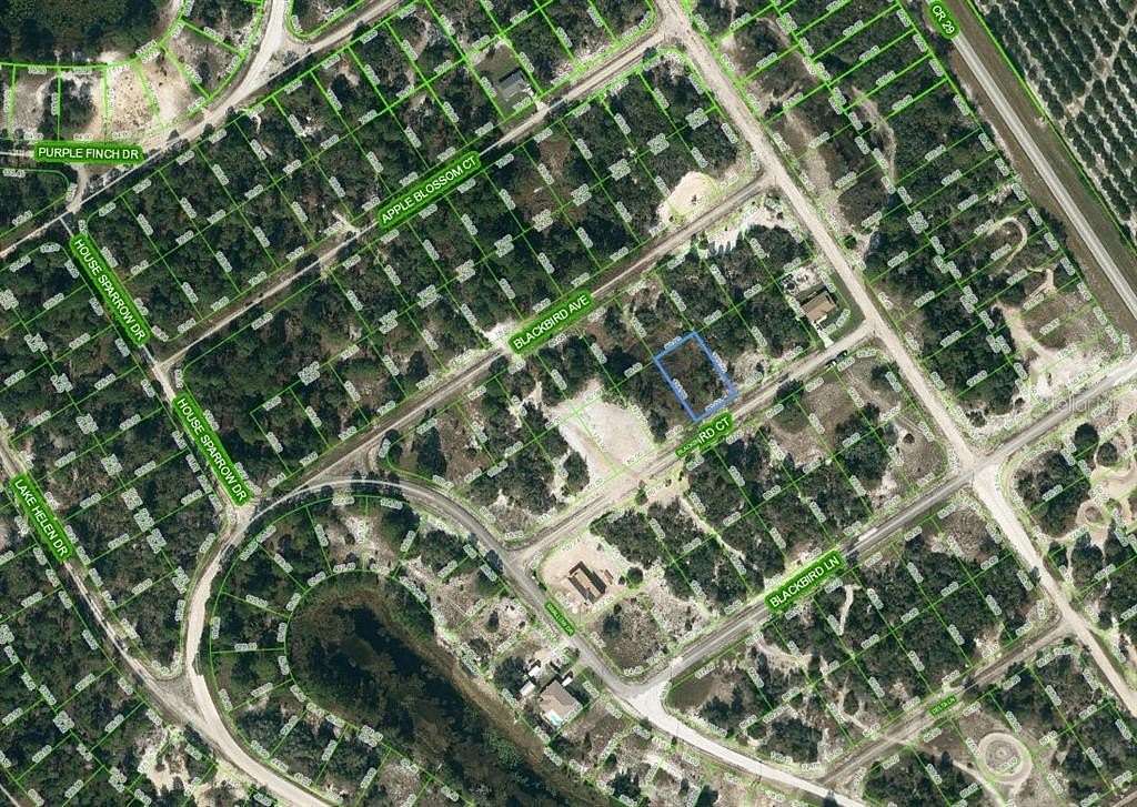 0.23 Acres of Residential Land for Sale in Lake Placid, Florida