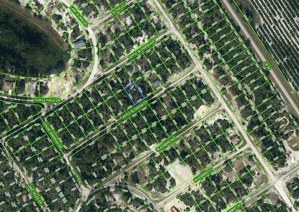 0.22 Acres of Residential Land for Sale in Lake Placid, Florida