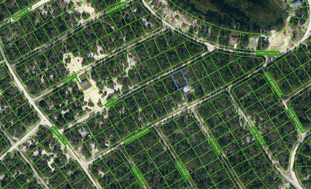 0.23 Acres of Residential Land for Sale in Lake Placid, Florida