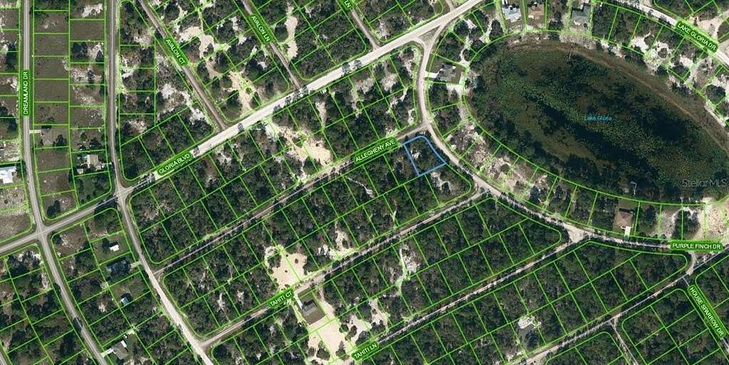 0.29 Acres of Residential Land for Sale in Lake Placid, Florida