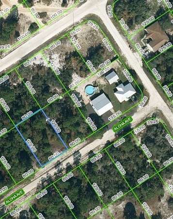 0.23 Acres of Residential Land for Sale in Lake Placid, Florida