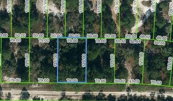 0.23 Acres of Residential Land for Sale in Lake Placid, Florida