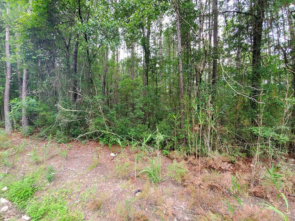 5.2 Acres of Land for Sale in St. George, South Carolina