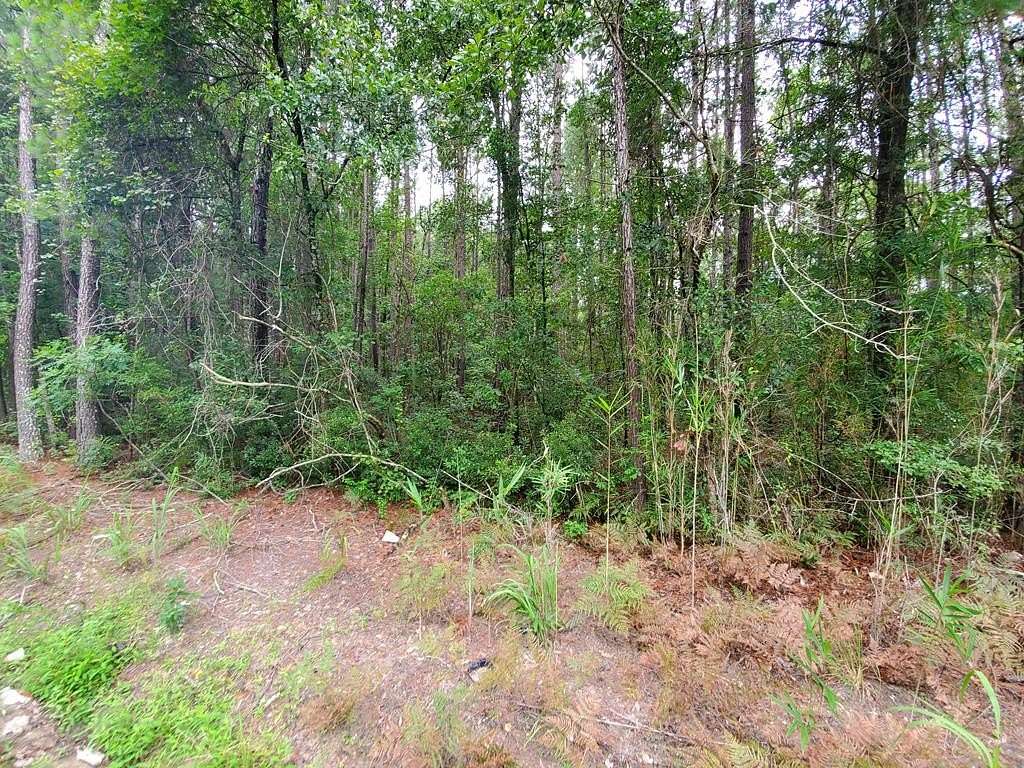 5.22 Acres of Land for Sale in St. George, South Carolina
