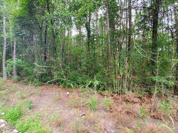 5.22 Acres of Land for Sale in St. George, South Carolina