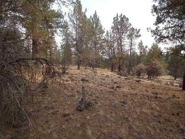 2.2 Acres of Residential Land for Sale in Bonanza, Oregon