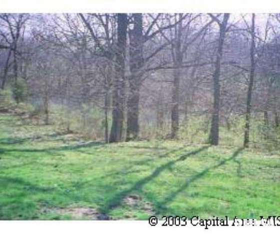 0.79 Acres of Residential Land for Sale in Petersburg, Illinois