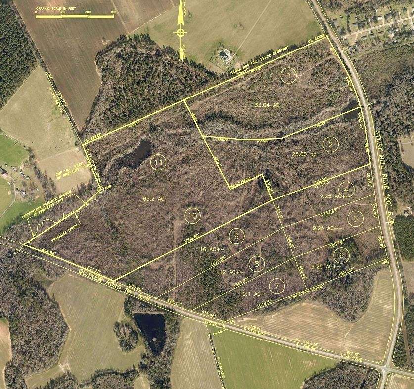 25 Acres of Land for Sale in Waynesboro, Georgia