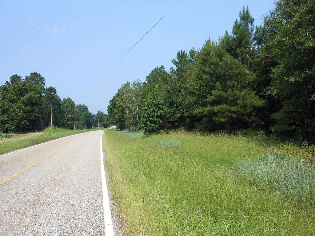 25 Acres of Land for Sale in Waynesboro, Georgia