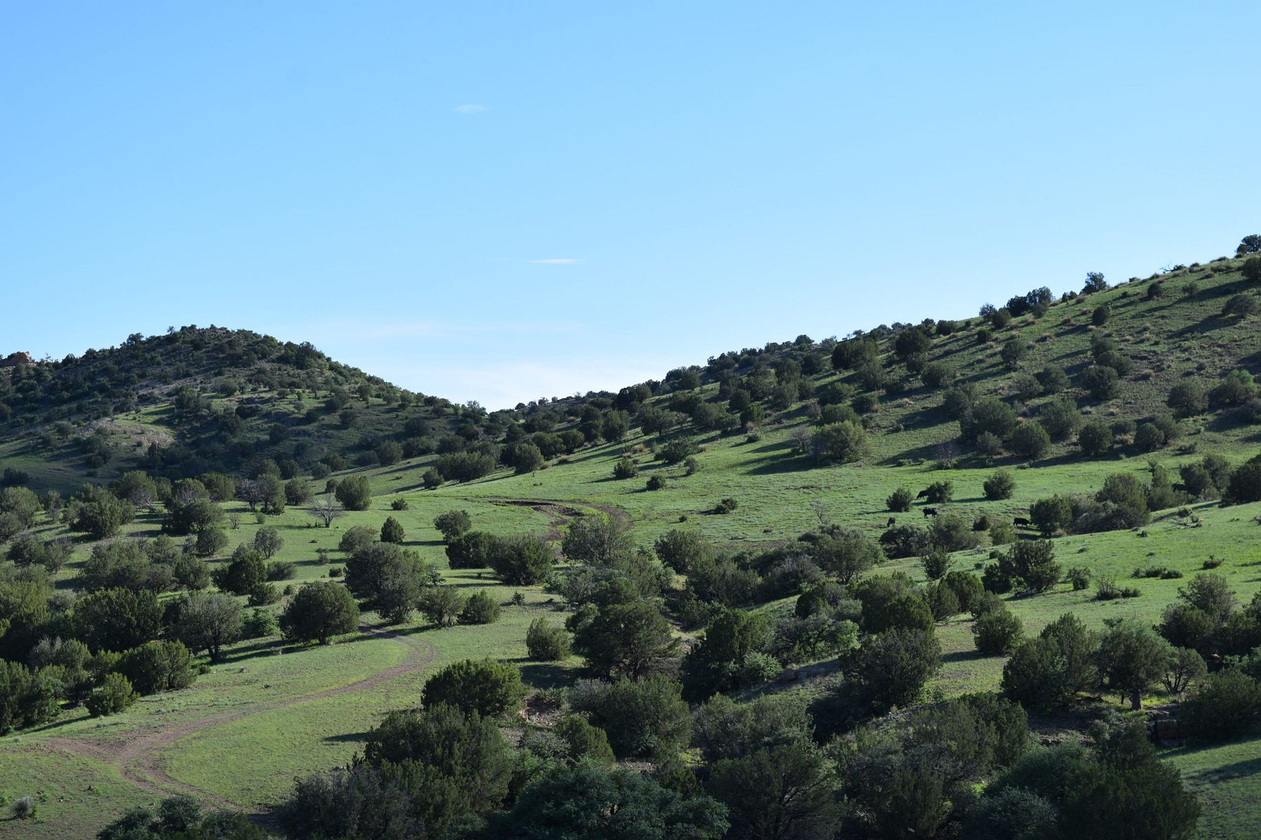 42 Acres of Recreational Land for Sale in San Lorenzo, New Mexico