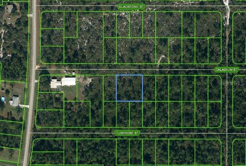 0.52 Acres of Residential Land for Sale in Lake Placid, Florida