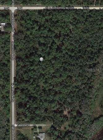 0.26 Acres of Residential Land for Sale in Lake Placid, Florida