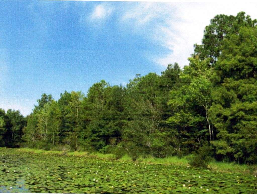 0.51 Acres of Residential Land for Sale in Donalsonville, Georgia