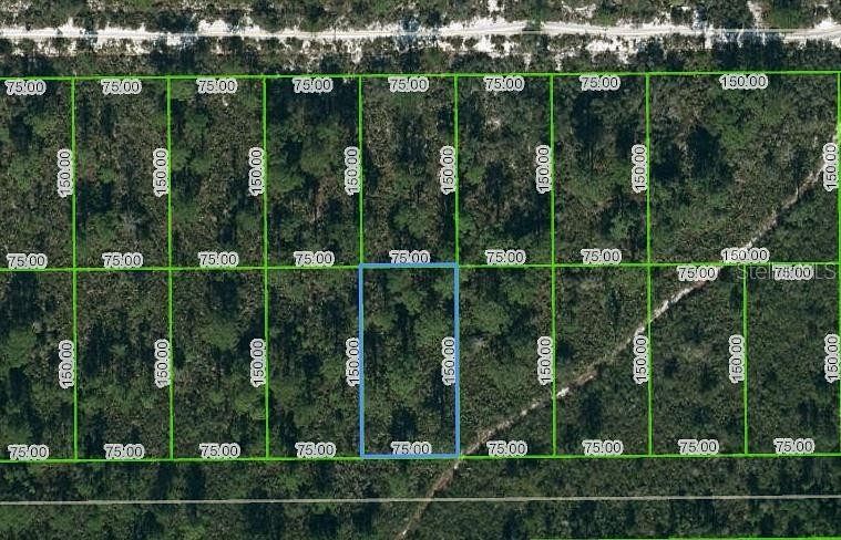 0.26 Acres of Residential Land for Sale in Lake Placid, Florida