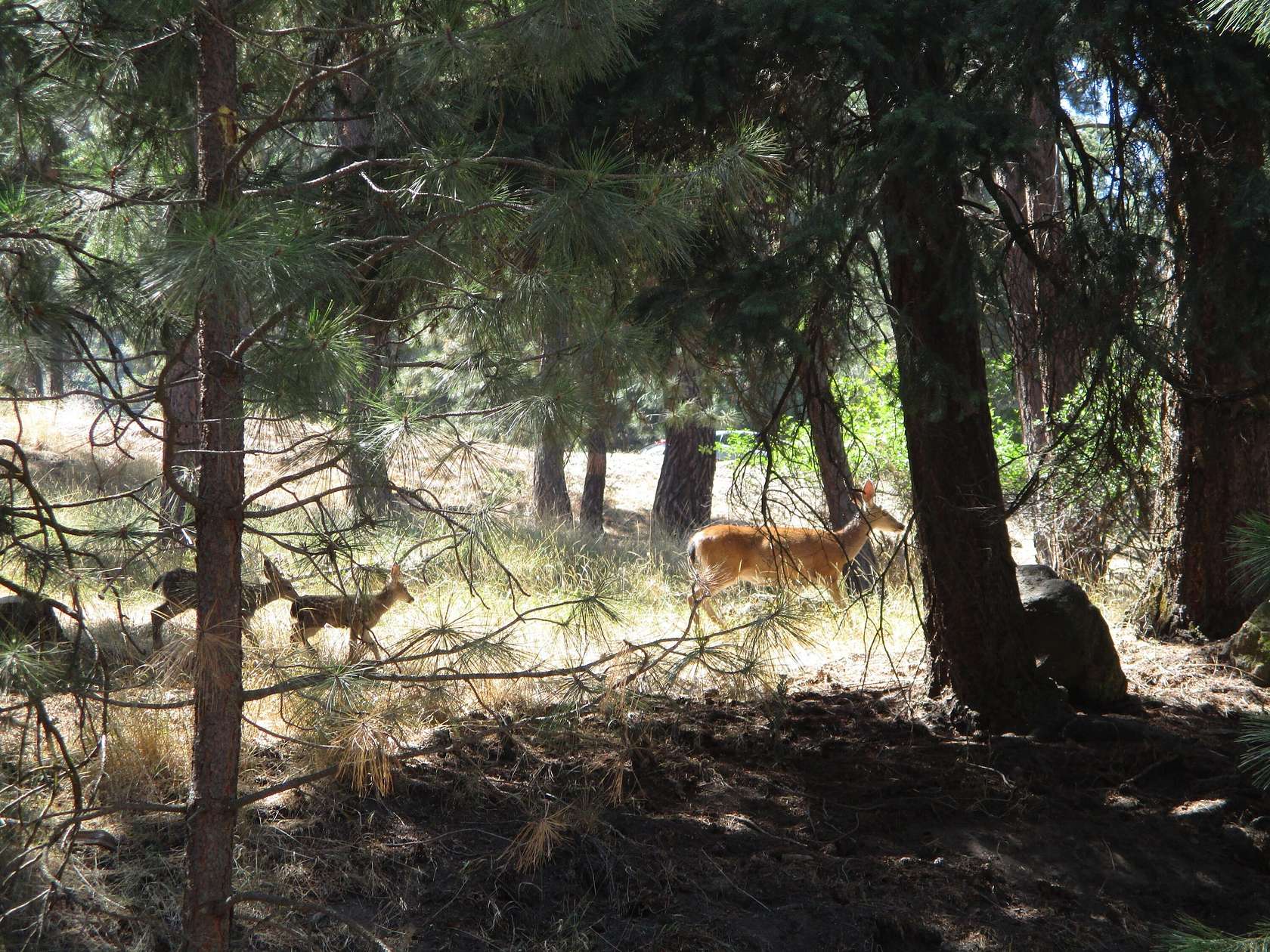 0.36 Acres of Residential Land for Sale in Klamath Falls, Oregon