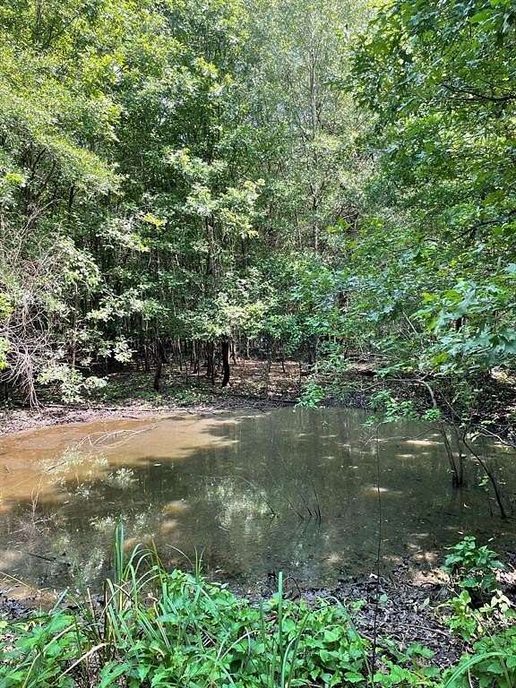 100 Acres of Land for Sale in Gladewater, Texas LandSearch