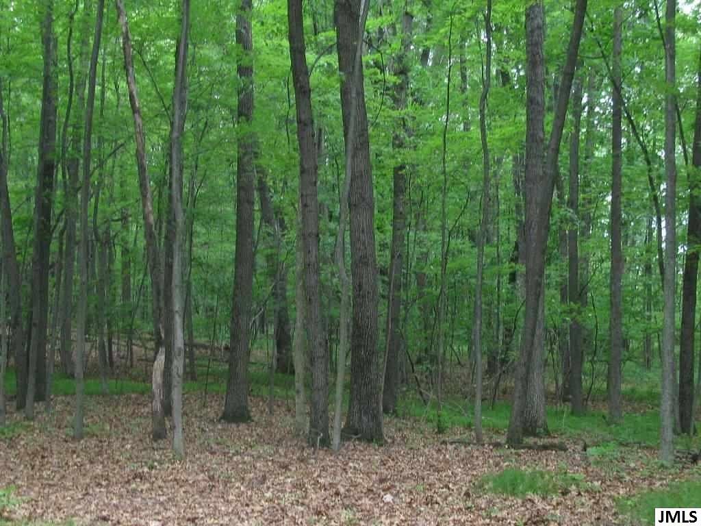 3 Acres of Residential Land for Sale in Jackson, Michigan