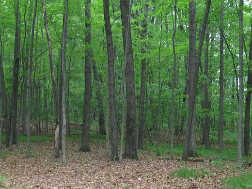 1 Acre of Residential Land for Sale in Jackson, Michigan