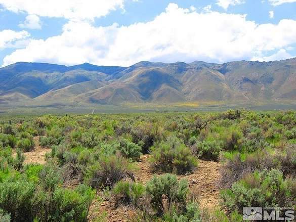 40 Acres of Land for Sale in Reno, Nevada