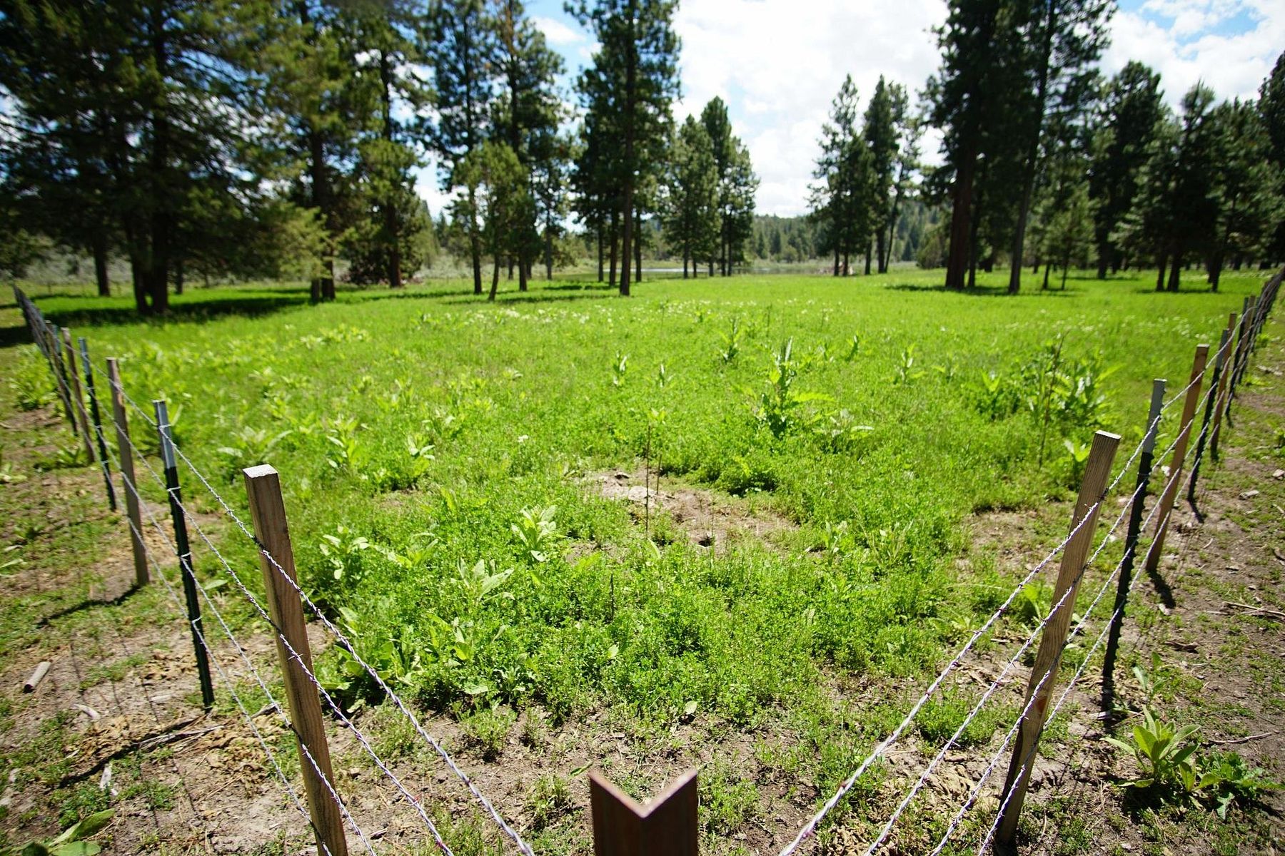 1,876 Acres of Land for Sale in Unity, Oregon LandSearch