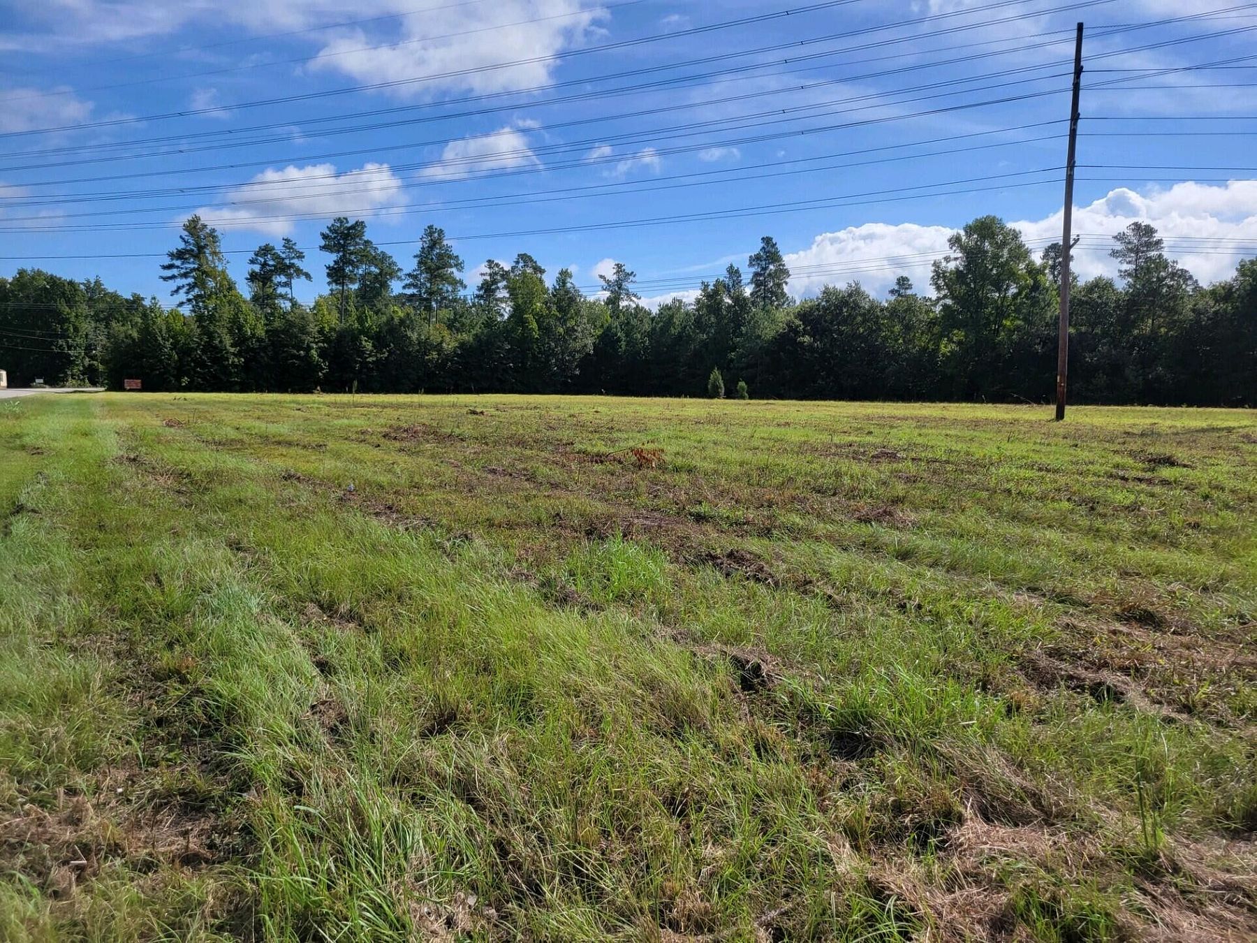 19.5 Acres of Land for Sale in St. George, South Carolina