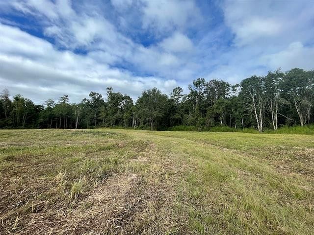 41.7 Acres of Land for Sale in Kinder, Louisiana