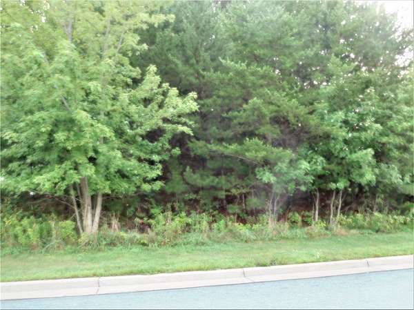 0.25 Acres of Residential Land for Sale in Eau Claire, Wisconsin