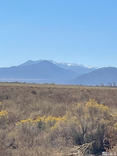 20 Acres of Land for Sale in Smith, Nevada