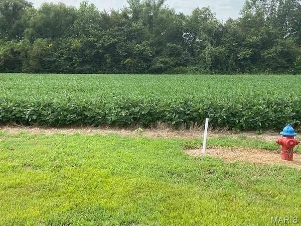 1 Acre of Residential Land for Sale in Dexter, Missouri