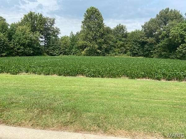1 Acre of Residential Land for Sale in Dexter, Missouri