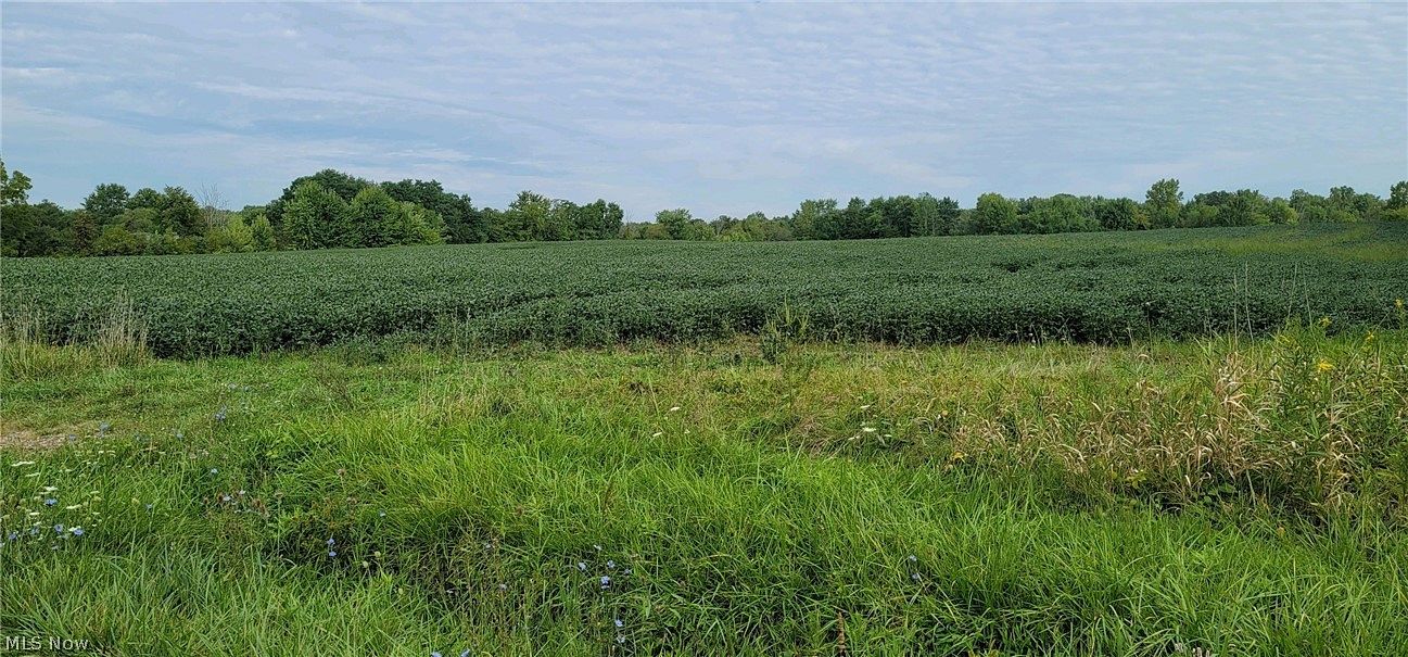 34.4 Acres of Land for Sale in Medina, Ohio