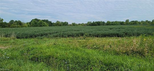 34.409 Acres of Land for Sale in Medina, Ohio