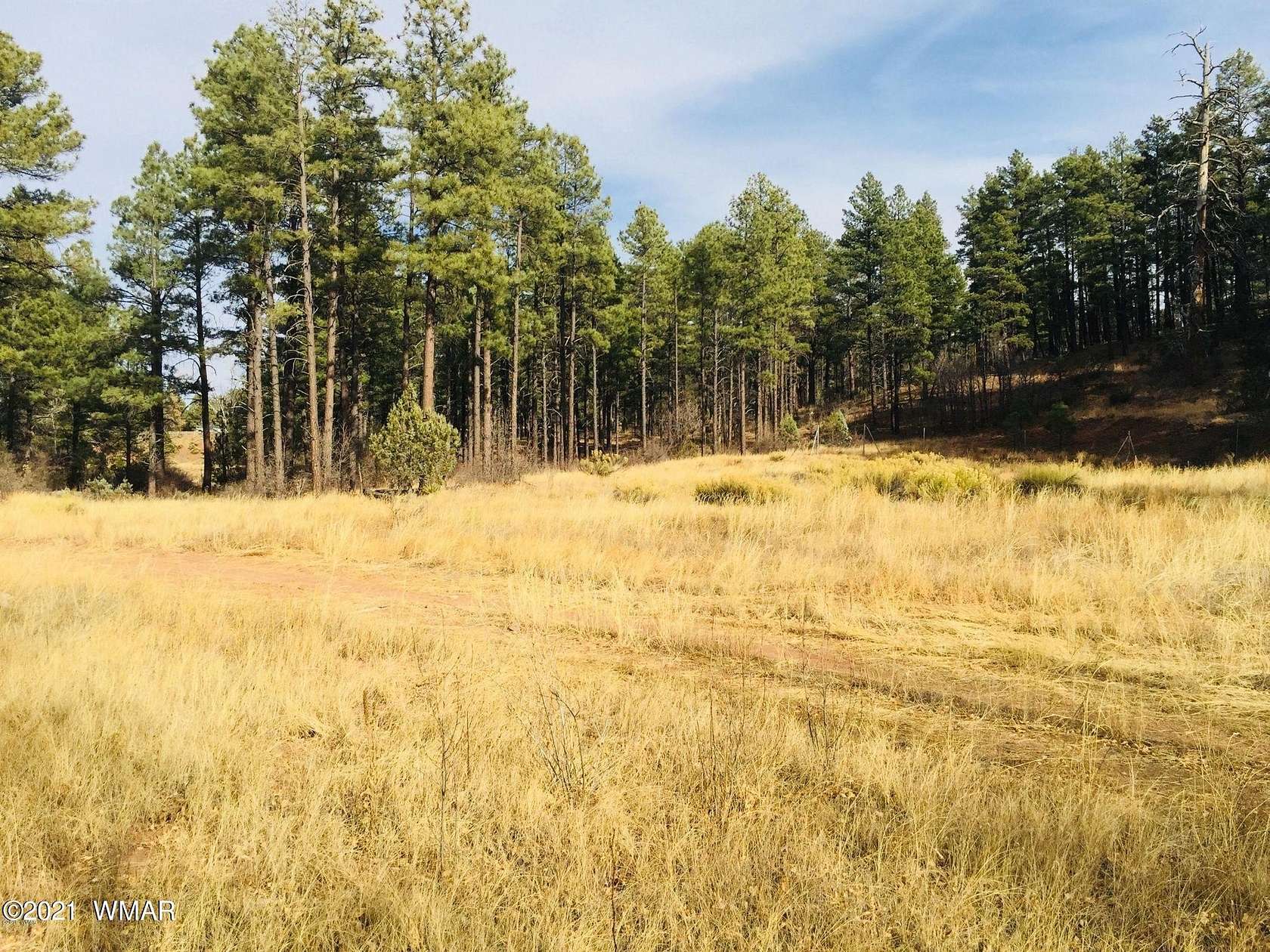 5.64 Acres of Residential Land for Sale in Show Low, Arizona