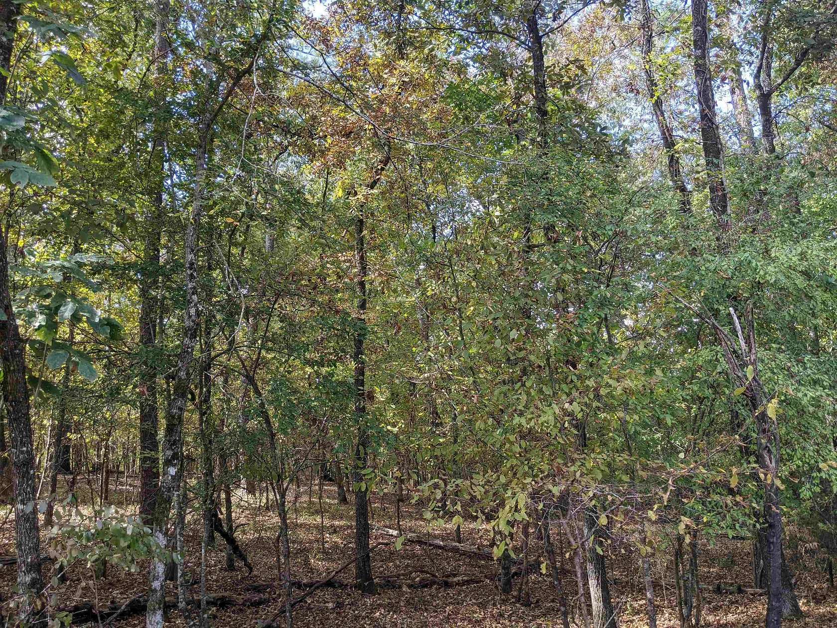 0.26 Acres of Residential Land for Sale in Hot Springs Village, Arkansas