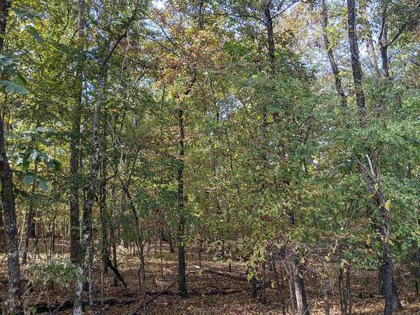 0.26 Acres of Residential Land for Sale in Hot Springs Village, Arkansas